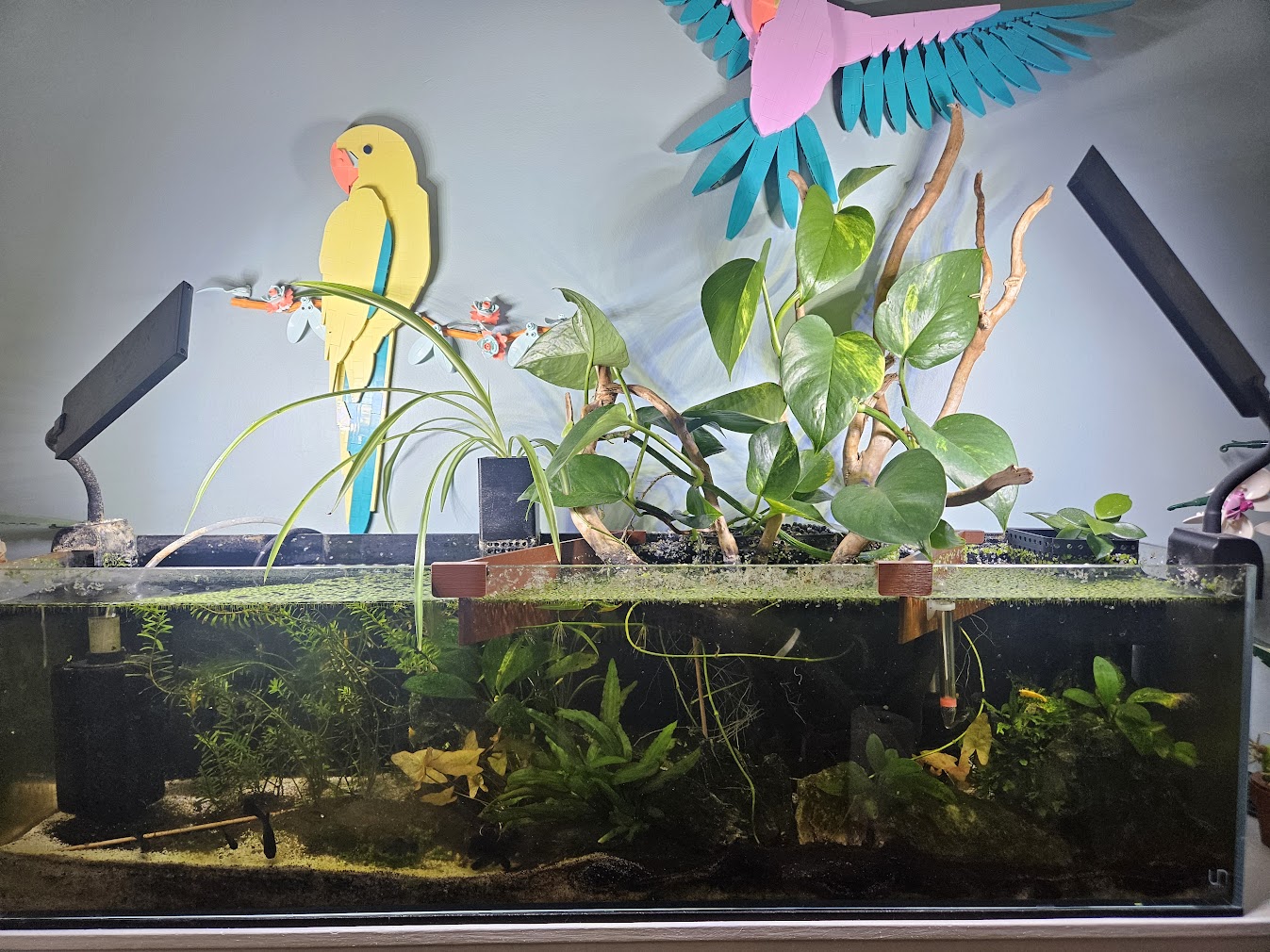 April 13, 2025 Tank
