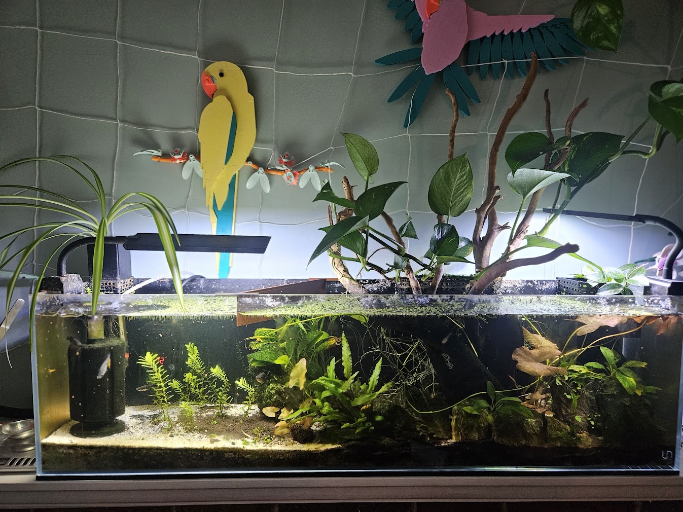 July 14, 2025 Tank