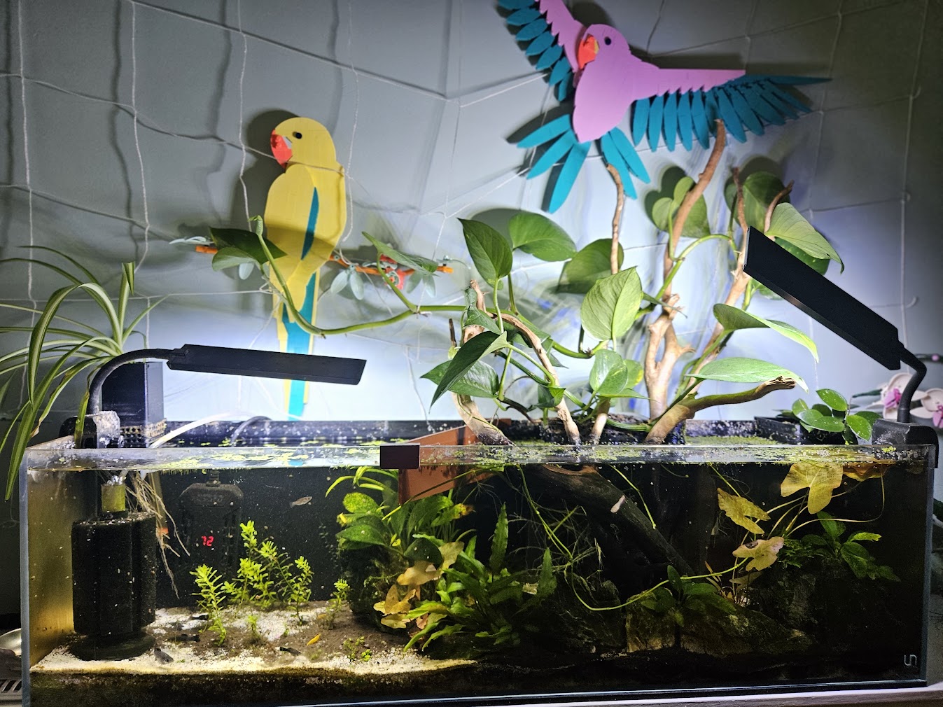 June 25, 2025 Tank