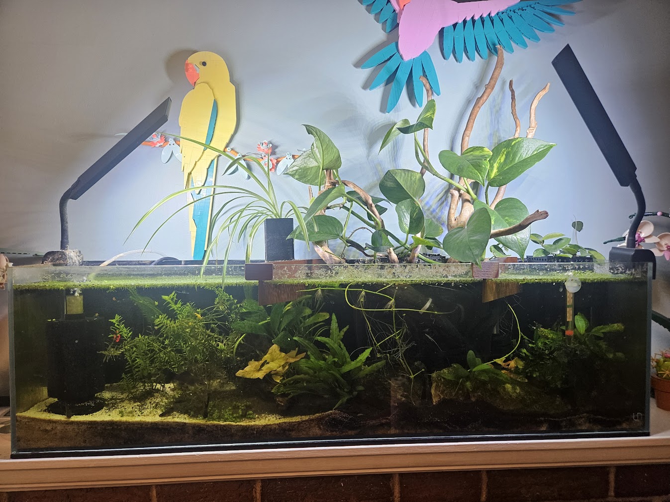 March 29, 2025 Tank