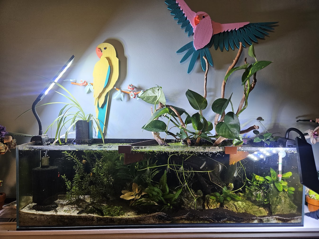 March 10, 2025 Tank