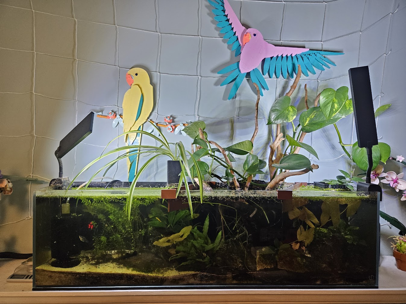 May 26, 2025 Tank