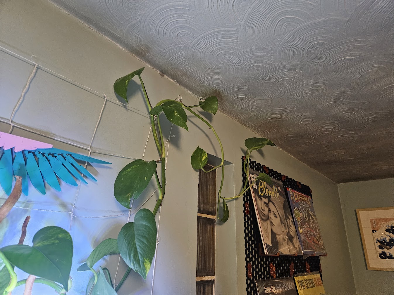 September, 14th 2025 Tank