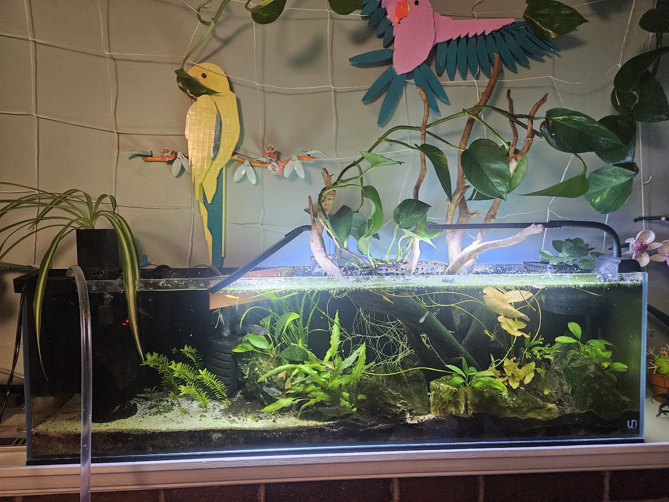 September, 27th 2025 Tank