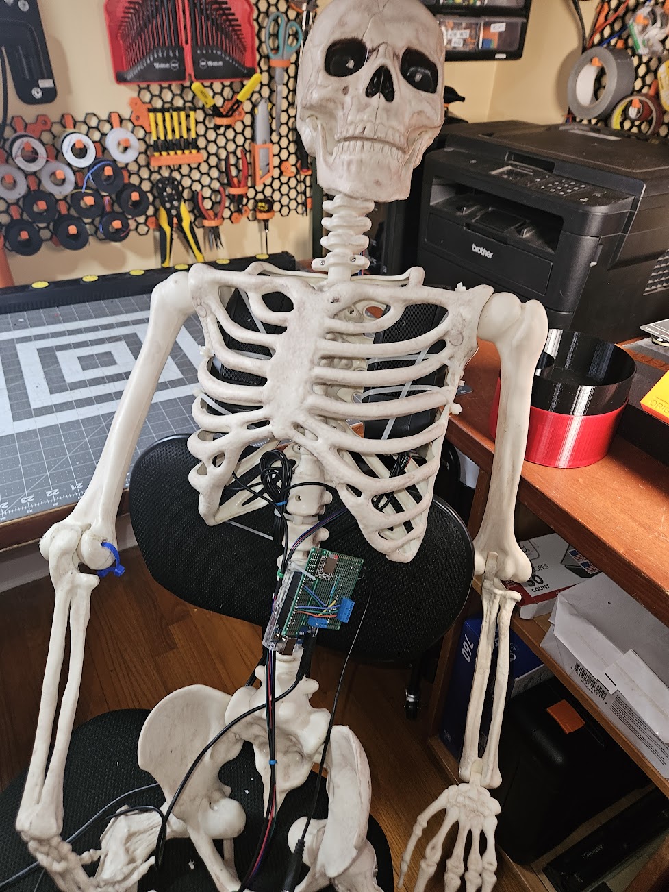 Skeleton with speaker in ribs